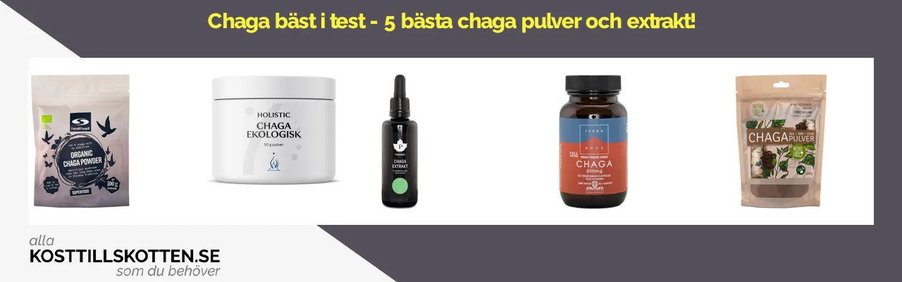 Chaga bäst i test