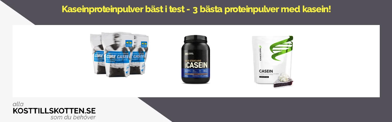 Kasein proteinpulver bäst i test