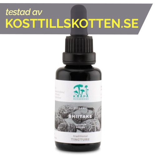 KÄÄPÄ Shiitake Extract Tincture