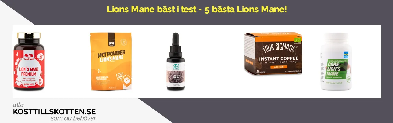 Lions mane bäst i test