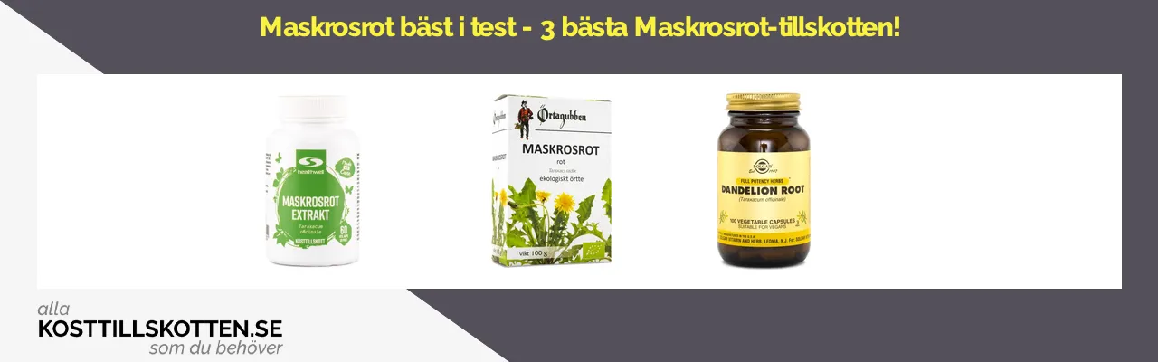 Maskrosrot bäst i test